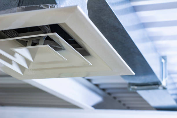 Best HVAC System Cleaning  in Dillsboro, IN