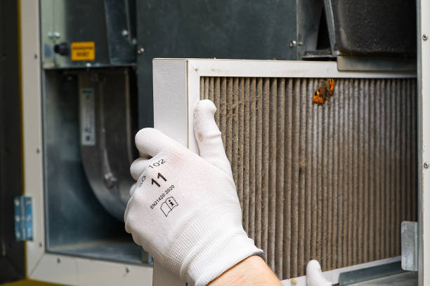 Best Commercial Air Duct Cleaning  in Dillsboro, IN