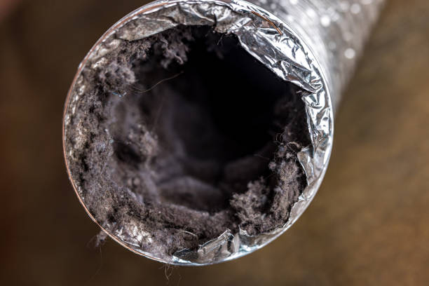 Best Air Duct Cleaning Near Me  in Dillsboro, IN