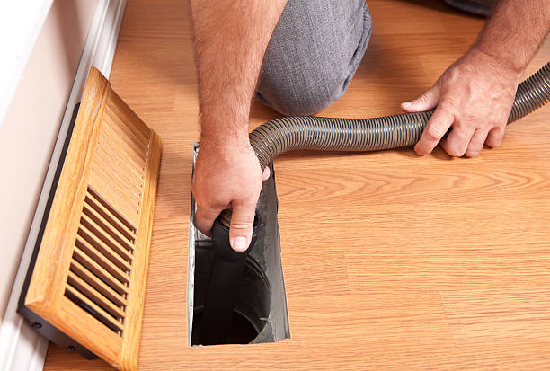 Best Professional Duct Cleaning Services  in Dillsboro, IN