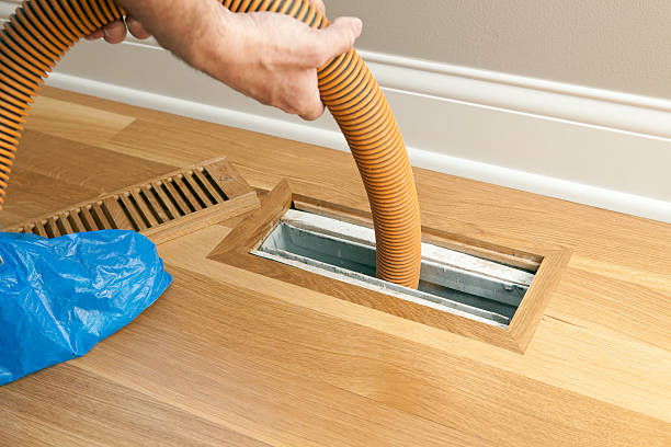 Air Duct Mold Removal in Dillsboro, IN