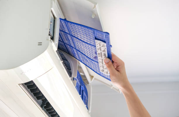 Best Local Air Duct Cleaning Services  in Dillsboro, IN